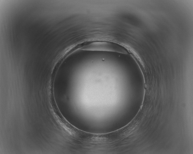 X0000072530437200607211453