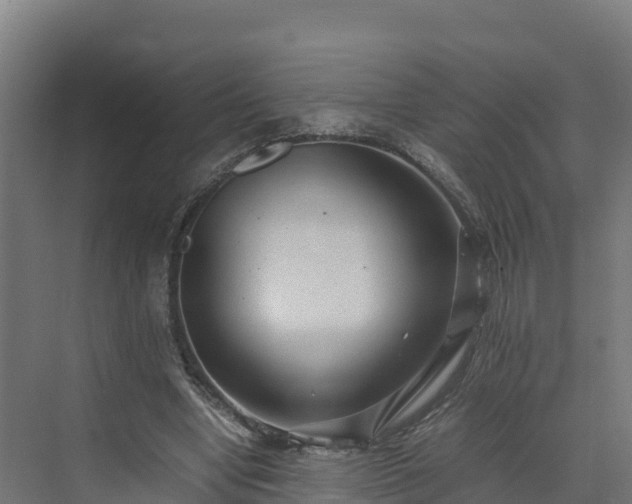 X0000072530442200607211453