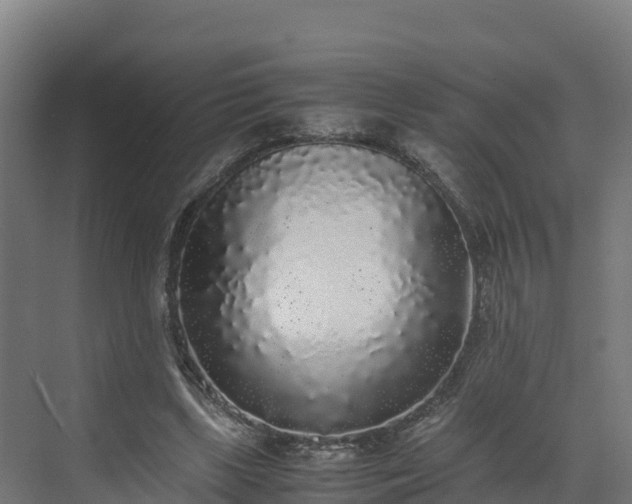 X0000072530443200607211453