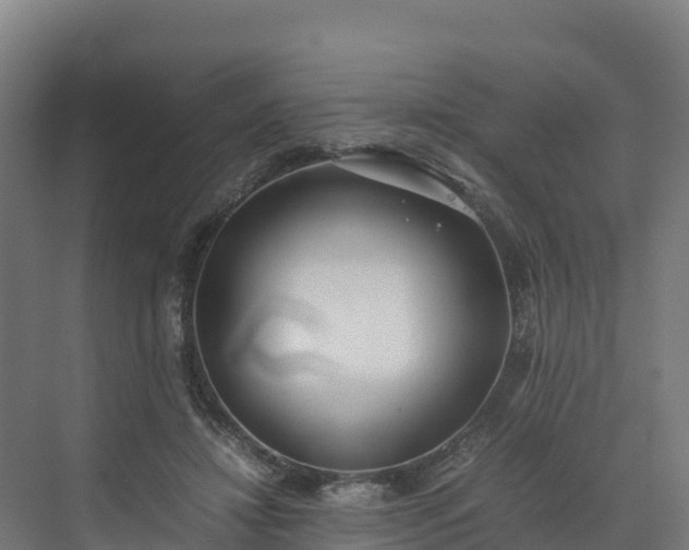 X0000072530452200607211453