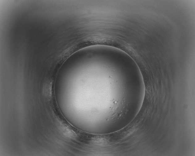 X0000072530454200607211454