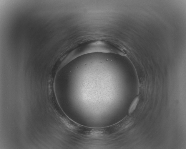 X0000072530462200607211454