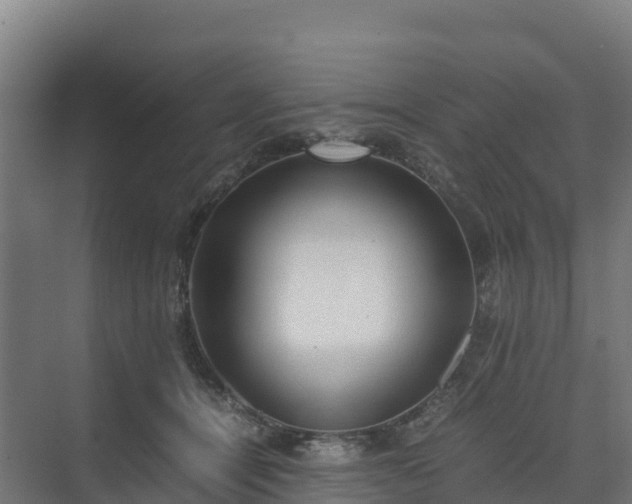 X0000072530464200607211454