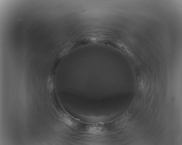 X0000072530471200607211454