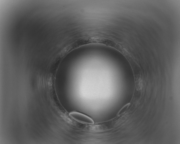 X0000072530472200607211454