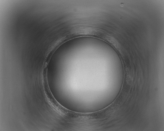 X0000072530482200607211453