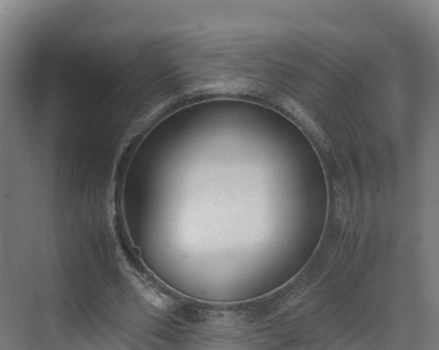 X0000072530486200607211453