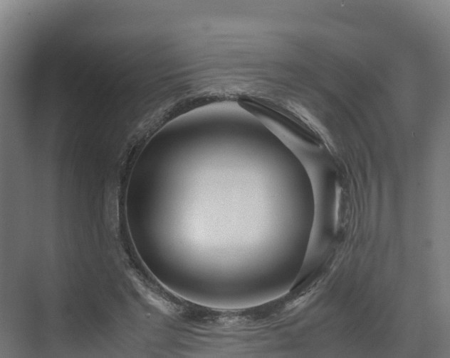 X0000072530493200607211453