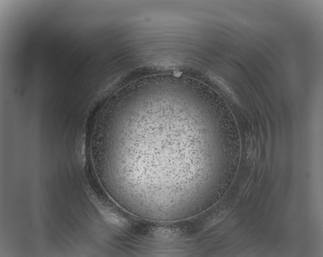 X0000072530494200607211453