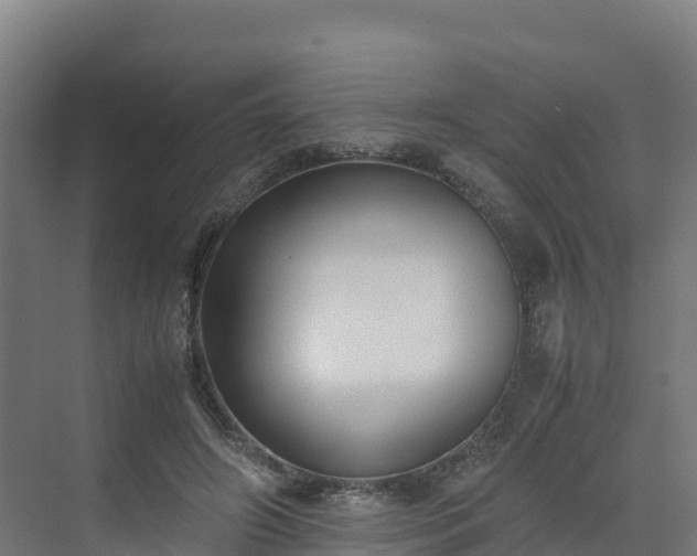 X0000072530498200607211453