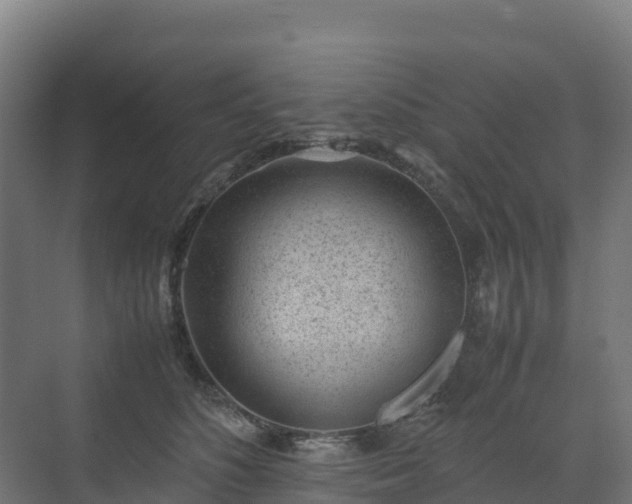 X0000072530516200607211453