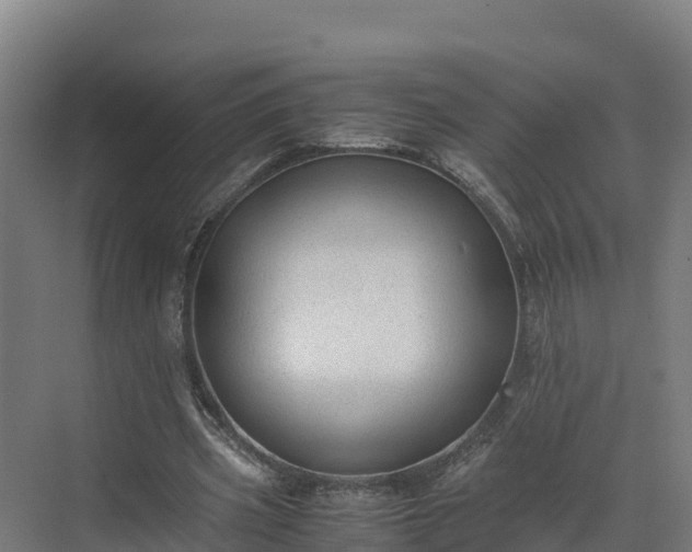 X0000072530533200607211452