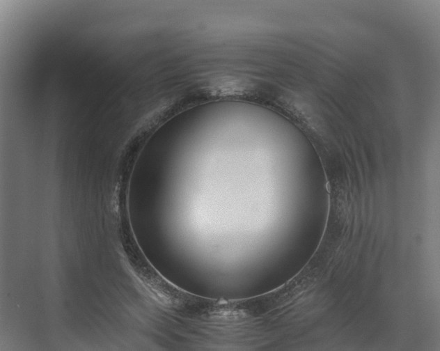 X0000072530543200607211452
