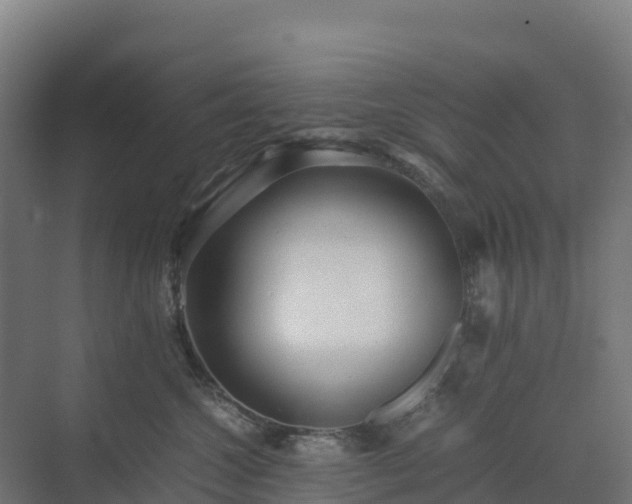 X0000072530572200607211452