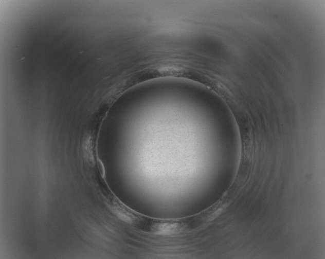 X0000072530575200607211452