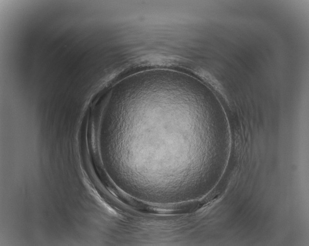 X0000072530581200607211451