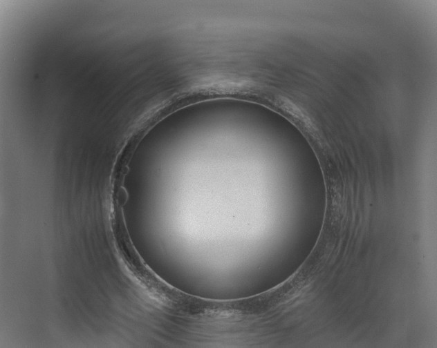 X0000072530582200607211451