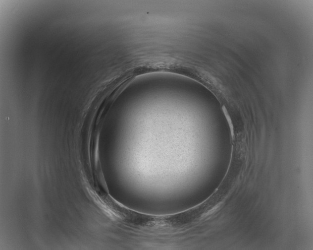 X0000072530589200607211451