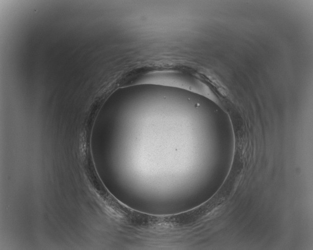X0000072530593200607211451