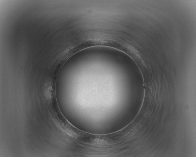 X0000072530596200607211451