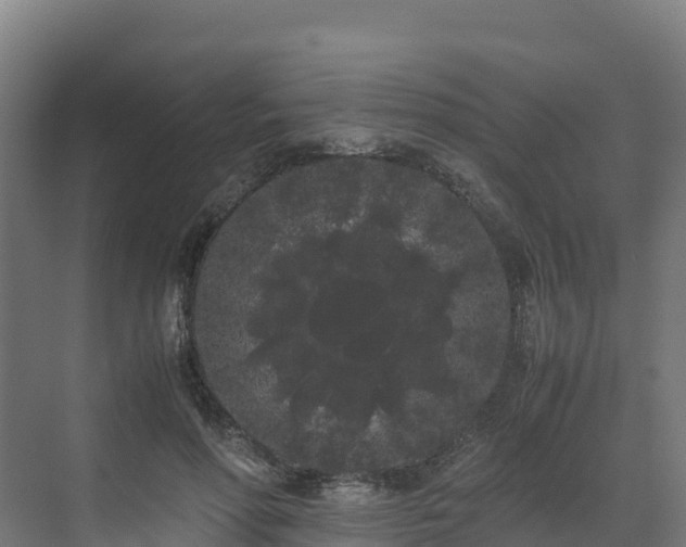 X0000072530598200607211451