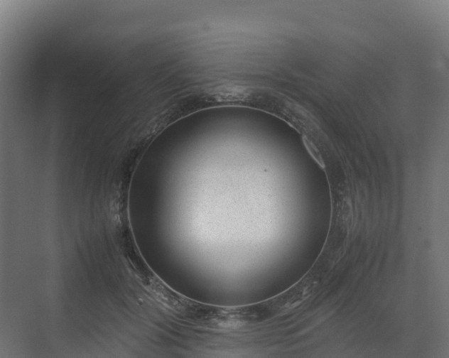 X0000072530604200607211451