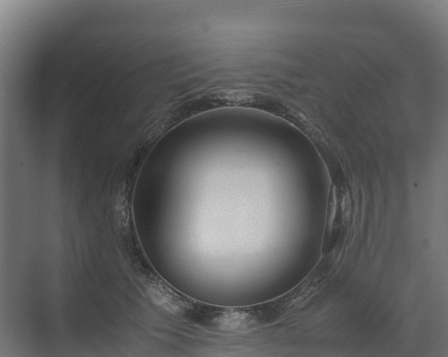 X0000072530609200607211451