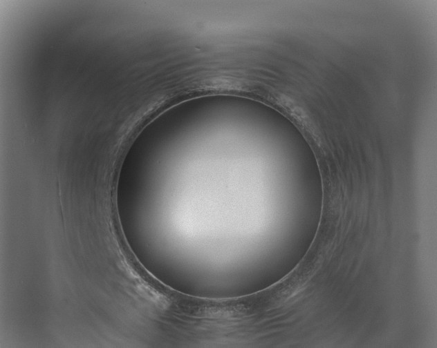 X0000072530625200607211450
