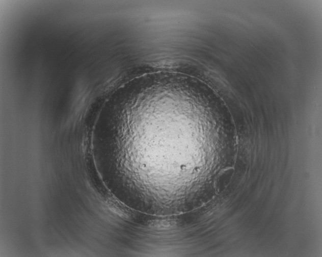 X0000072530652200607211450