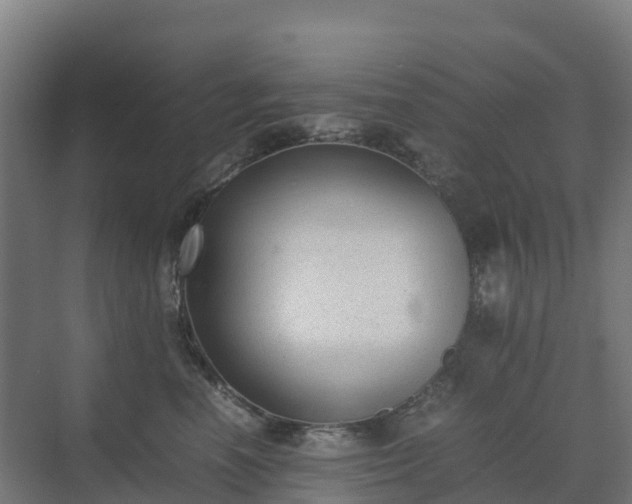 X0000072530666200607211451