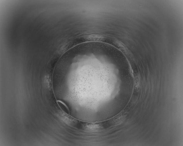X0000072530669200607211451