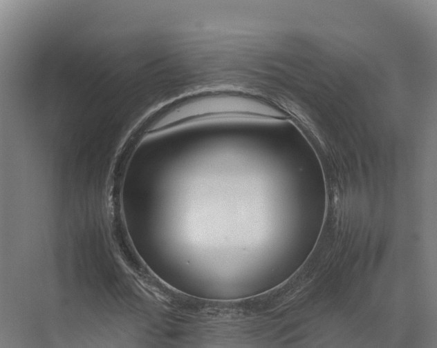 X0000072530676200607211450