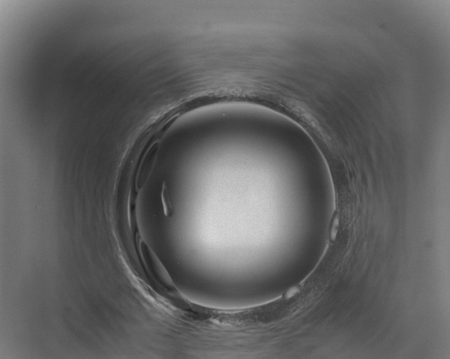 X0000072530677200607211450