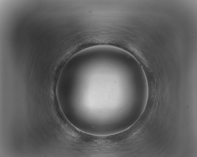 X0000072530681200607211450