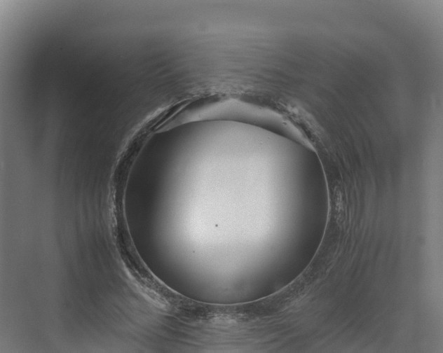 X0000072530684200607211450