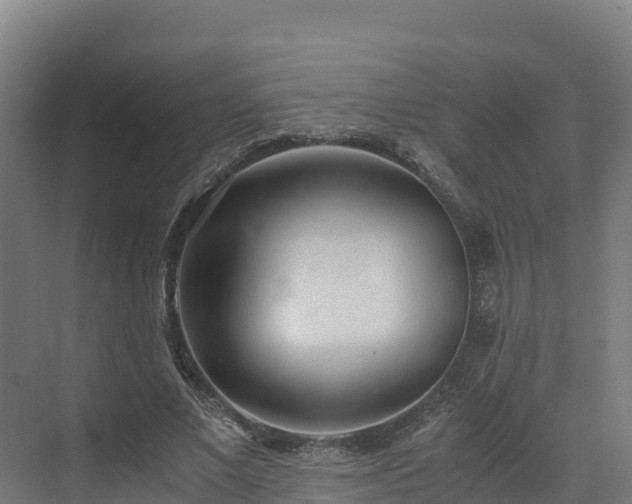 X0000072530685200607211450