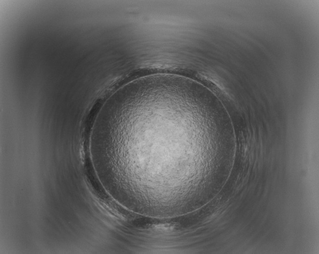 X0000072530692200607211450