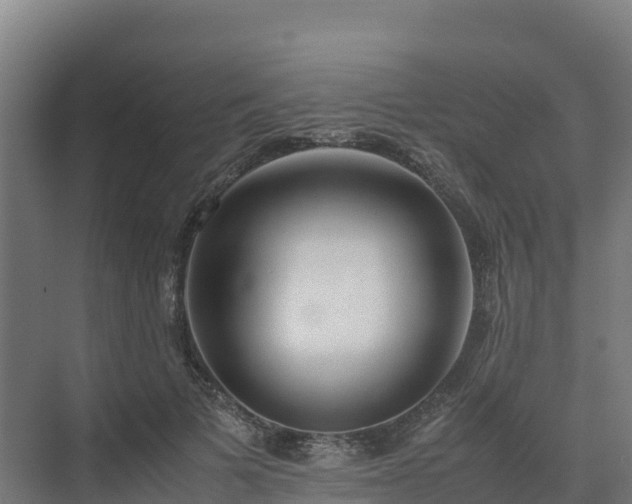 X0000072530697200607211450