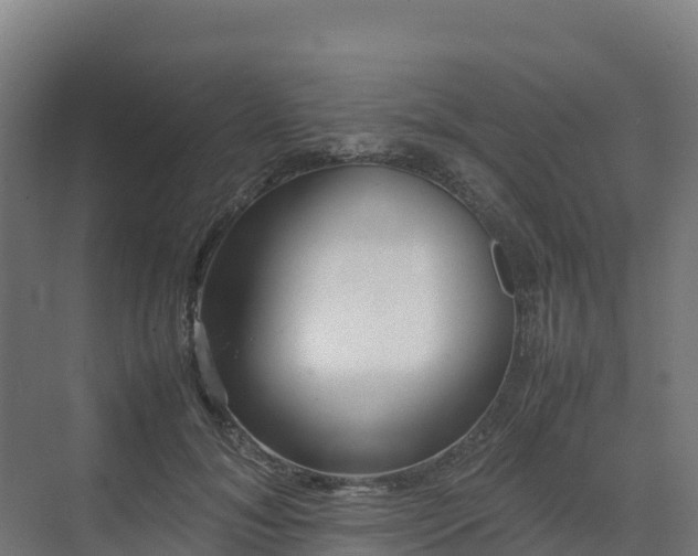 X0000072530700200607211449
