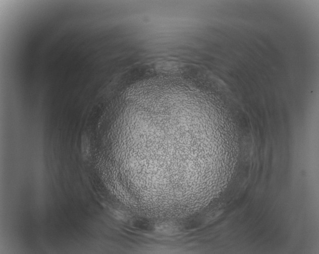 X0000072530705200607211449