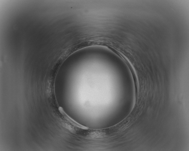 X0000072530708200607211449