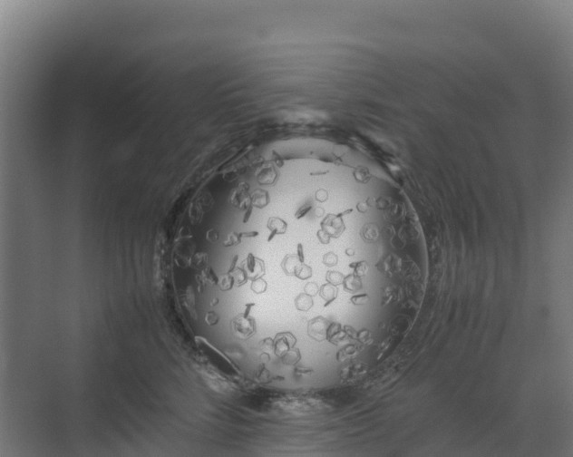 X0000072530712200607211449
