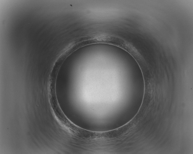 X0000072530730200607211448