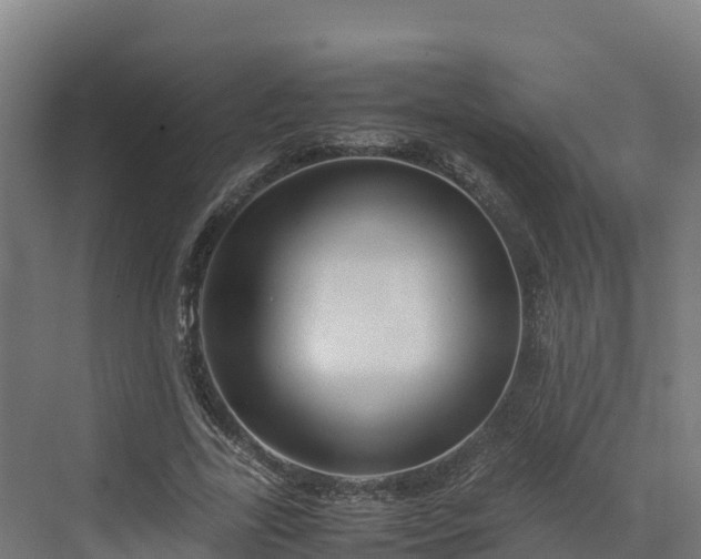 X0000072530731200607211448