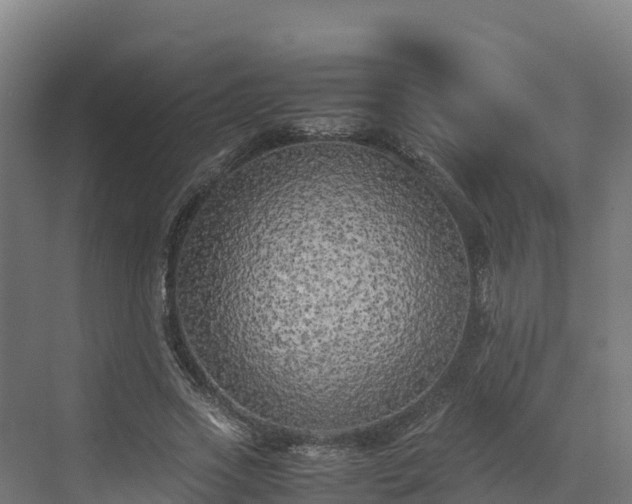 X0000072530733200607211449