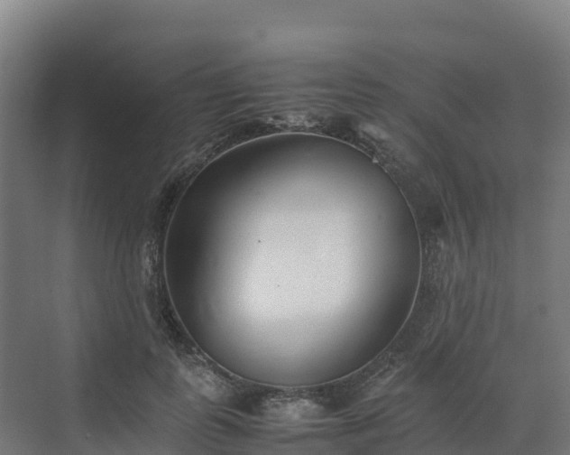 X0000072530747200607211449