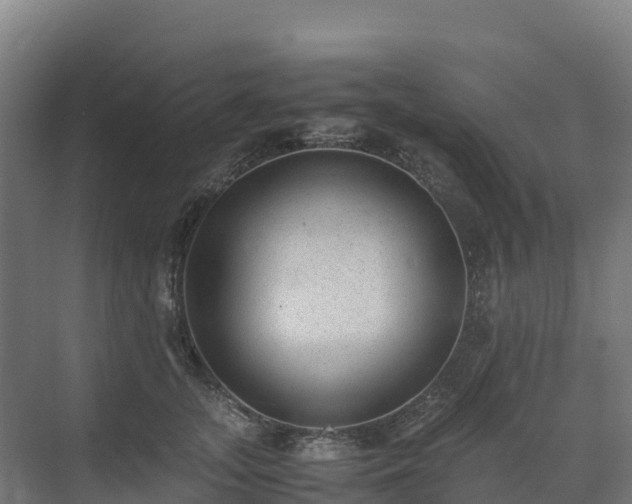 X0000072530755200607211449