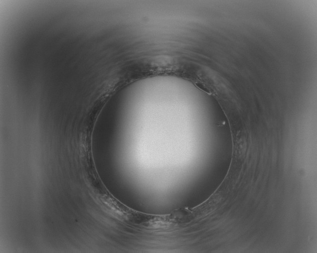 X0000072530756200607211449