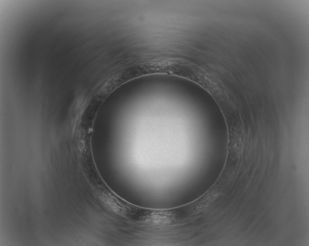 X0000072530758200607211449