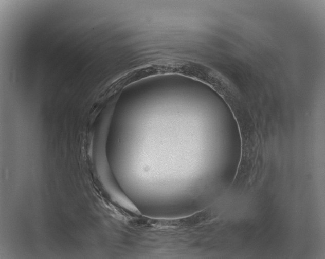 X0000072530773200607211448